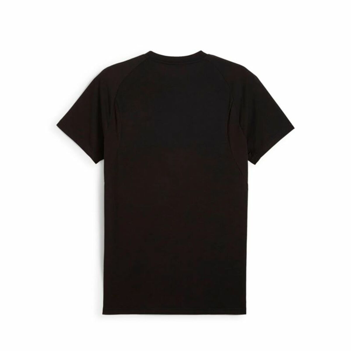 V5H193E96B1538FB459D00E57ED09A786AFR5679974P2