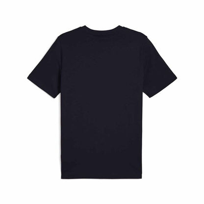 V5HB8765597CC3AFCB6E0E2BA94F1537A23R6162088P2