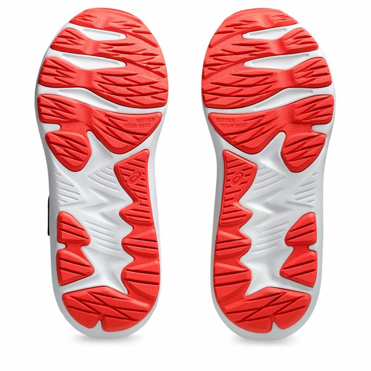 V5HB84D88B67EBD85A93FAE48EF71102C0BR5755183P3