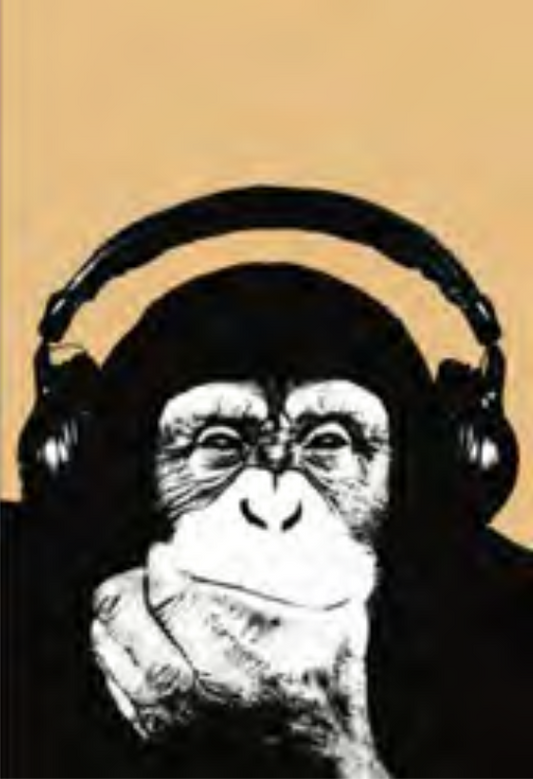 SINGE CASQUE