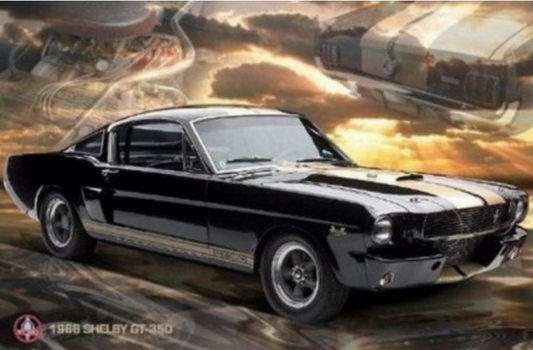 FORD SHELBY GT350