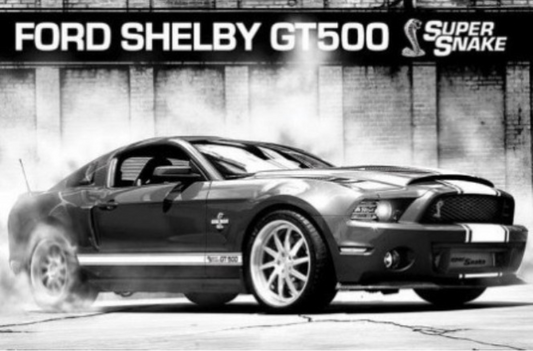 FORD SHELBY GT500