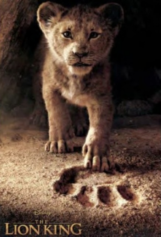 LE ROI LION PHOTO