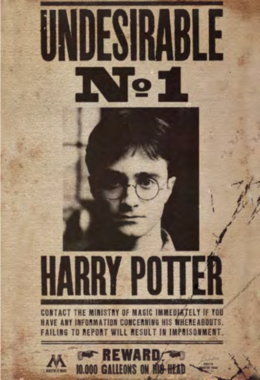 HARRY POTTER N°1