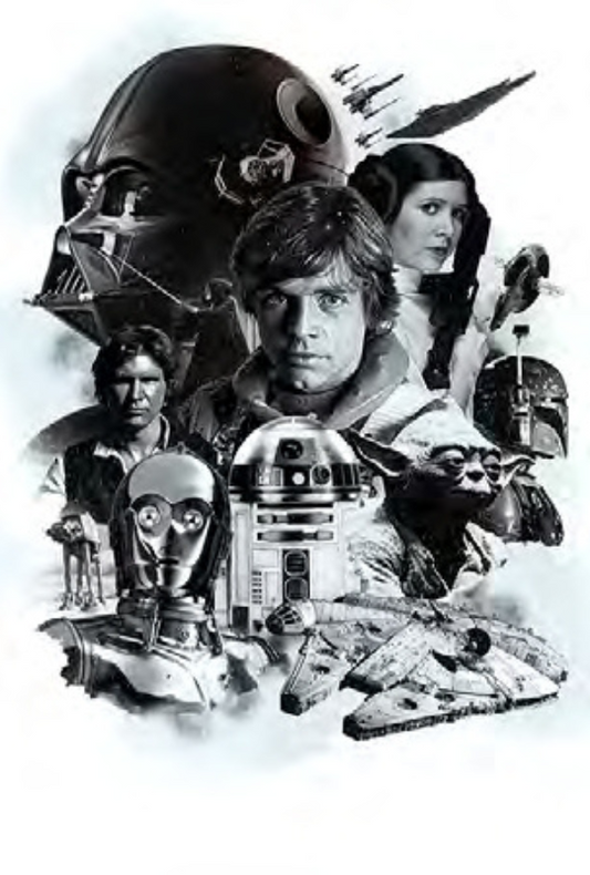 40 ANS STAR WARS DISNEY