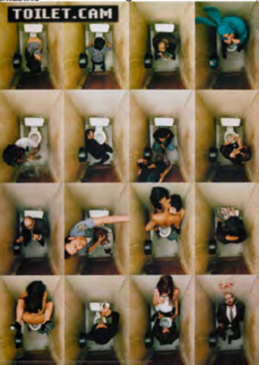 TOILET CAM