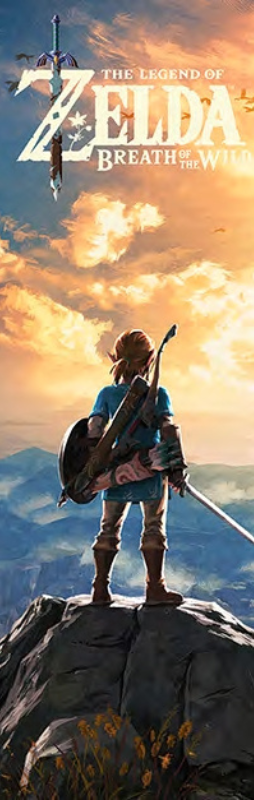 ZELDA NINTENDO FORMAT DE PORTE