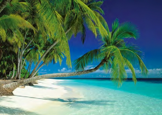 PLAGE MALDIVES