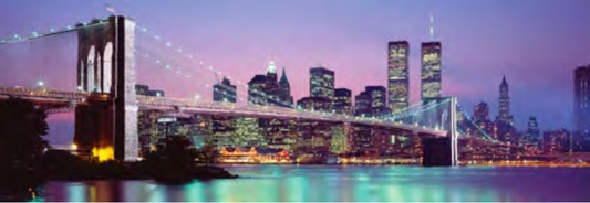 NEW YORK CITY